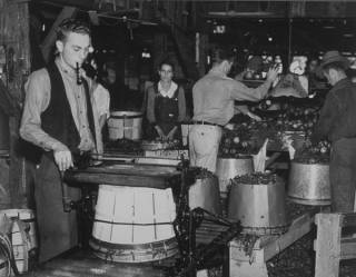 Packing Virginia apples, ca. 1938