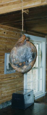 Exterior mold is normal