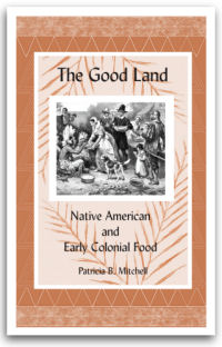 The Good Land by Patricia B. Mitchell