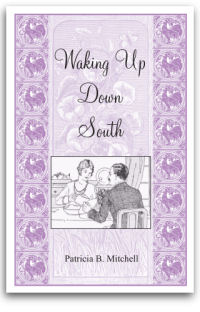 Waking Up Down South by Patricia B. Mitchell